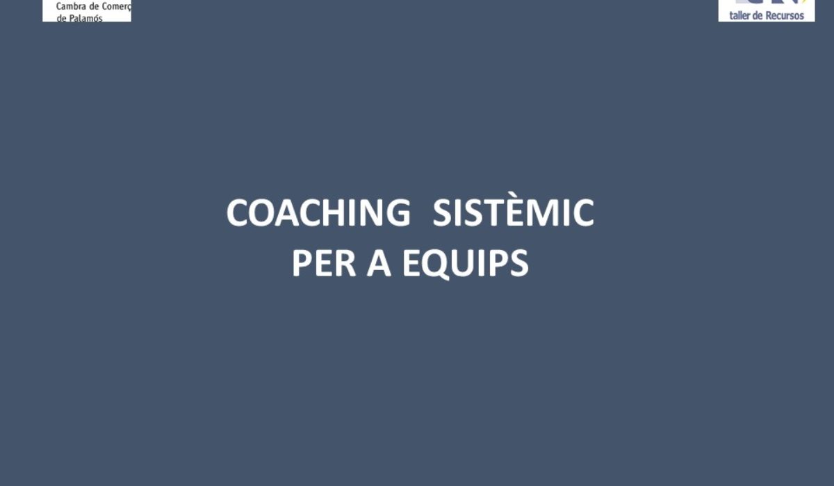 COACHING SISTÈMIC D’EQUIPS