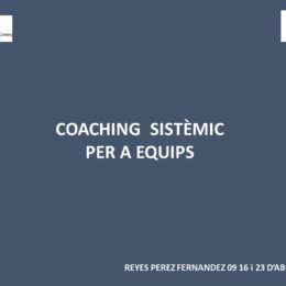 COACHING SISTÉMICO DE EQUIPOS