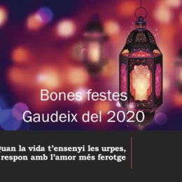 A GAUDIR DEL 2020