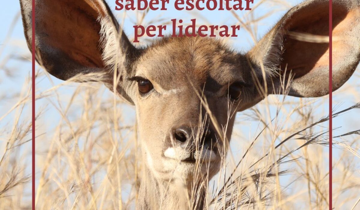 Descobreix-te per liderar: Saber escoltar