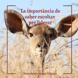 Descobreix-te per liderar: Saber escoltar